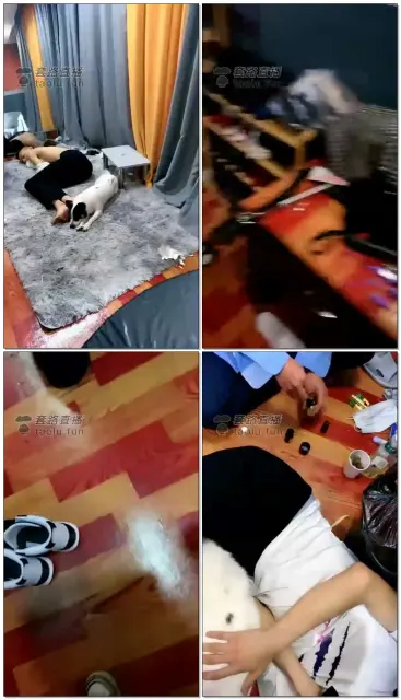 【甜心s】脚下三只贱狗,早餐黄金圣水