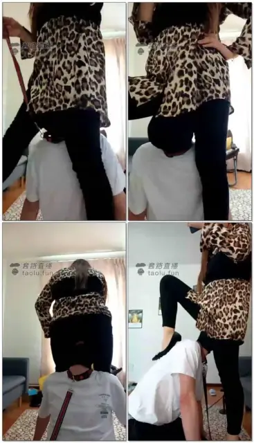 【兰州平凡S】继续玩马奴