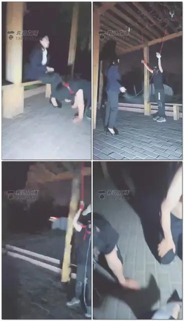 【依然S】户外夜晚调狗