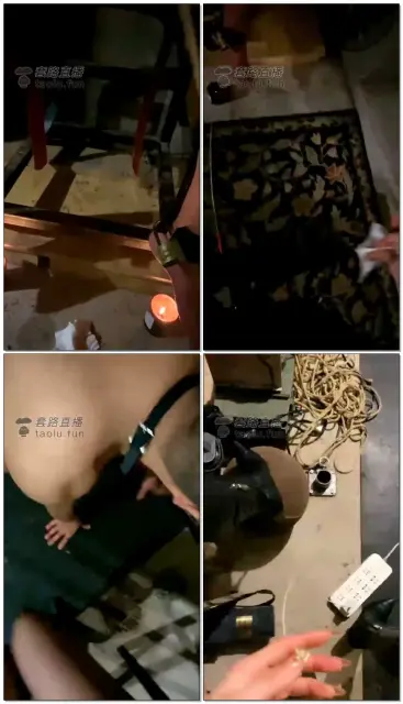 【高傲】小乌龟该受到的惩罚