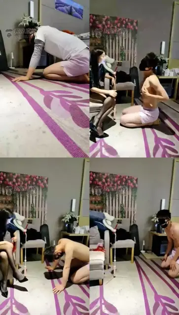 【小小奶嘴】训狗