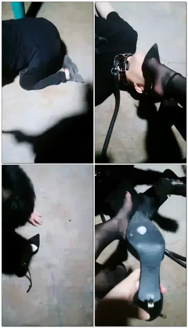 【丝皇女王】户外课玩圈养狗