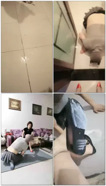 【丽妃S】调教厕奴【25分钟】 