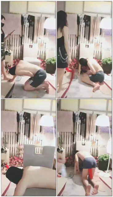 【依然S】钻胯，踩踏，踢裆，鞭打