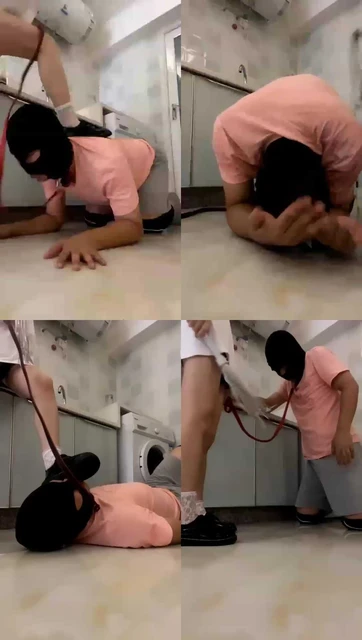 【云云酱】百忙之中,抽空踢死狗狗