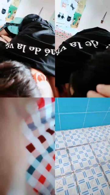 【南京樱樱】到处闻的狗