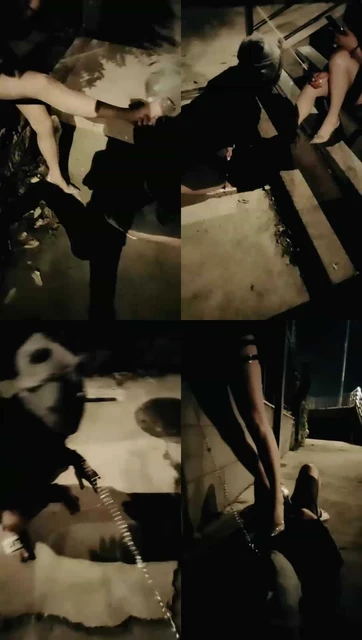 【丹丹】调教户外玩狗，路人不断