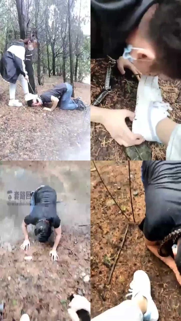 【悦主大人】户外舔鞋，遛狗，雨中虐狗（多部合集）