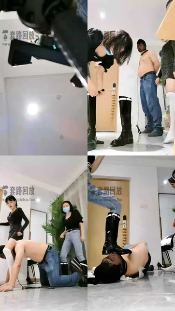 【小拽主人】重度提档专场踢趴下