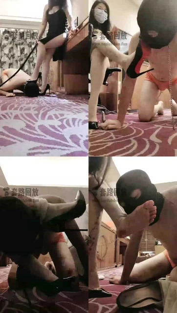 【紫钰大人】酒店玩狗