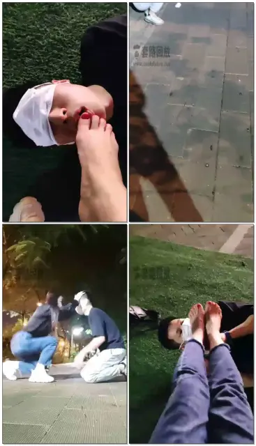 【御严s】御姐户外首调(梵高)