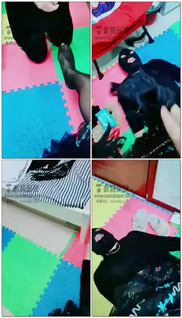 【方圆s】捡个狗回来开发