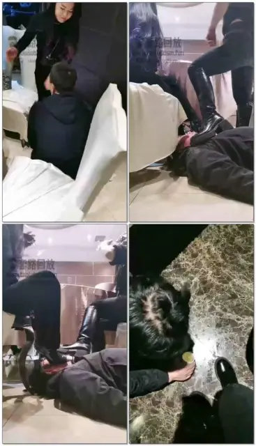 【Michelle傲雪s】饭店聚会玩狗