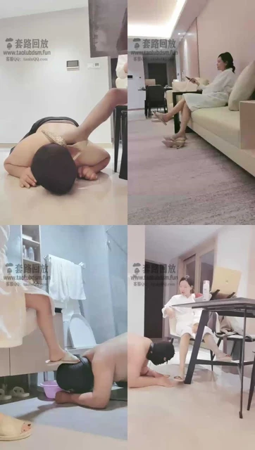 【药神S】家奴开发