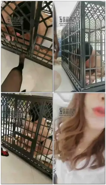 【京S维维】圈养了几个时辰后