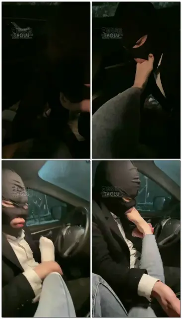 【晚晚S】户外车内调狗