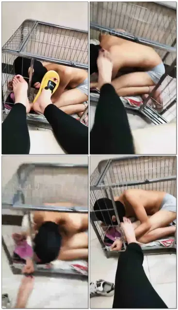 【超高能s】狗子的日常生活