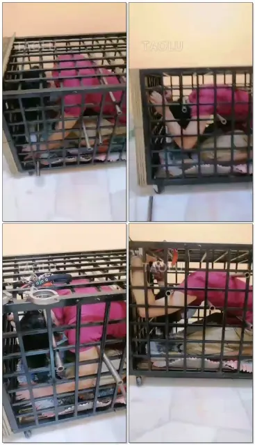 【Ruby灿】狗笼固定钢架首次体验