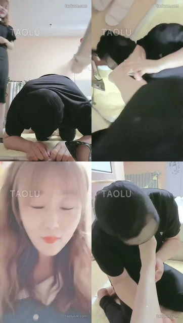 【林夕S】贱狗来求主子虐废