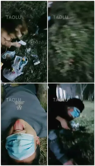 【林夕S】户外调狗