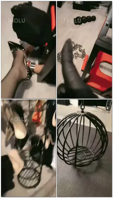 【s姑姑】家具苟