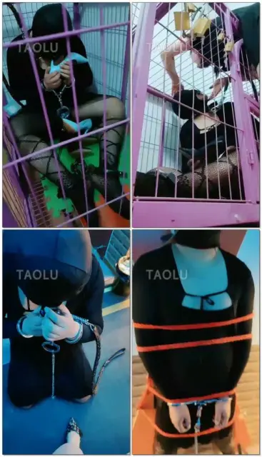 【东营天香百合】贱狗来了