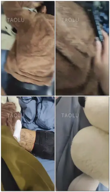 【新人沐子】踩狗