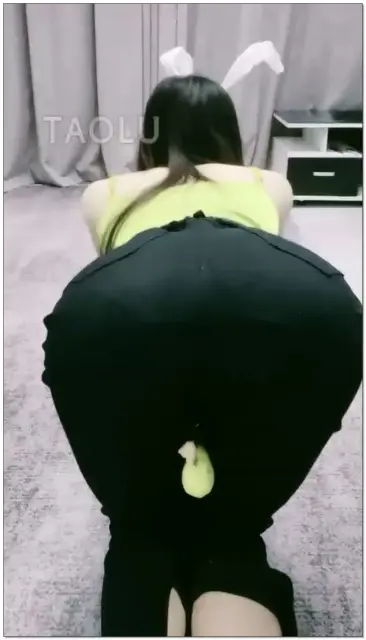 【清见S】两只发梢的女木(未删减)(一)