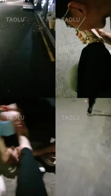 【梵高】户外小羊姐姐(一)