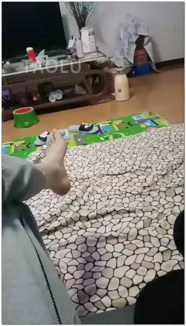 【平凡Sss夫妻】遛狗回来玩够