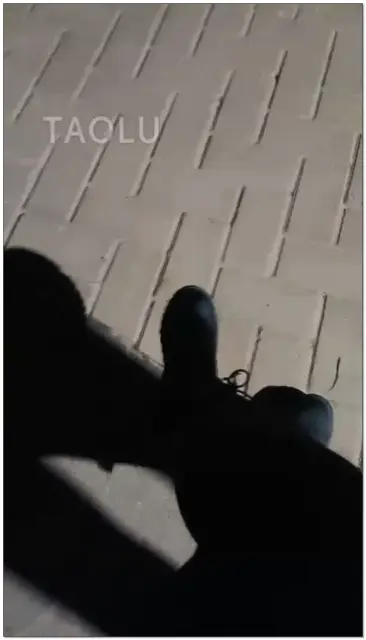 【平凡Sss夫妻】户外遛狗