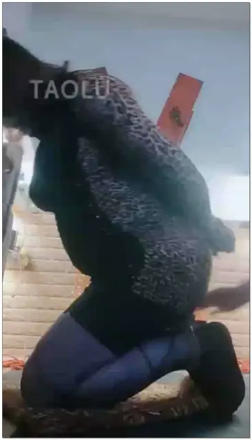 【东营天香百合】调教发sao的母go