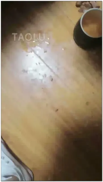 【冷欣情侣s】帆布鞋喂食圣水