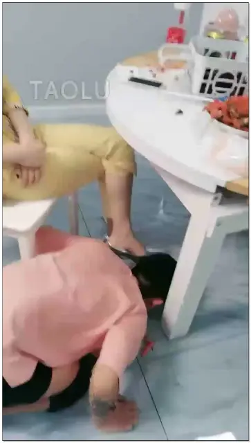 【紫烟s】双主喂桌下双狗