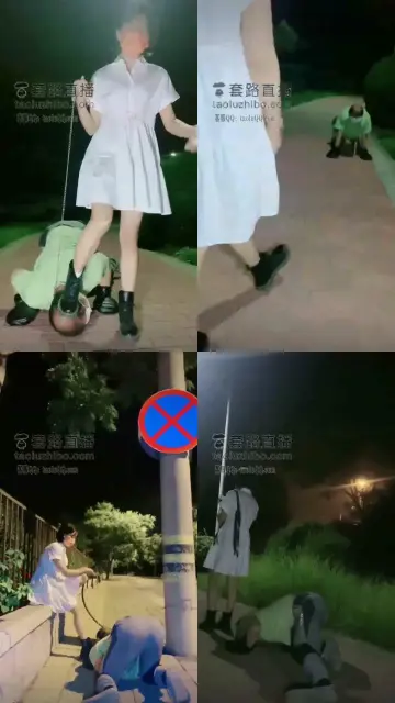 【美离子】调教还是户外刺激,深夜夜路遛狗