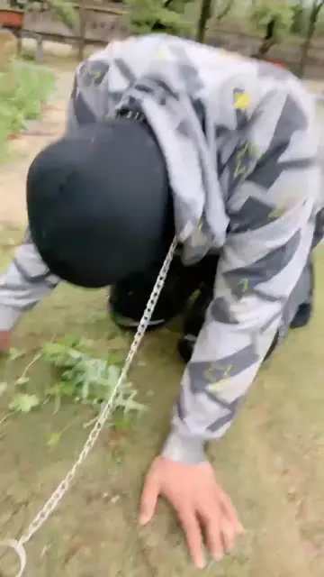 【宸宸】遛狗幸福生活