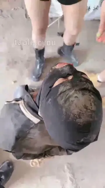 【宸宸】剧情三主囚老奴