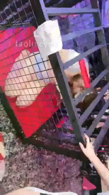 【馨妍】新开发女奴