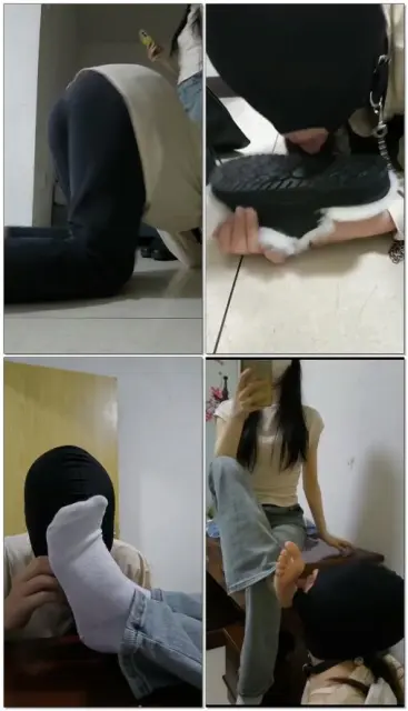 【哈宝】我的鞋子都要干干净净