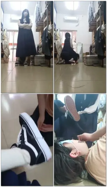 【哈宝】来宿舍玩小胖奴