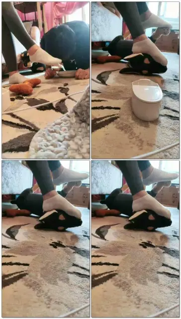 【依依东望】继续耍狗