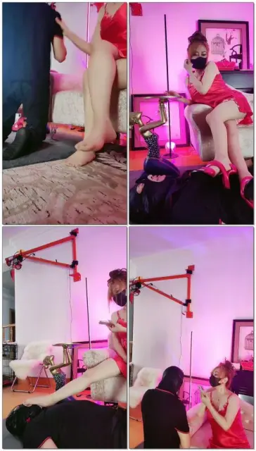 【依依东望】惩罚小白脸