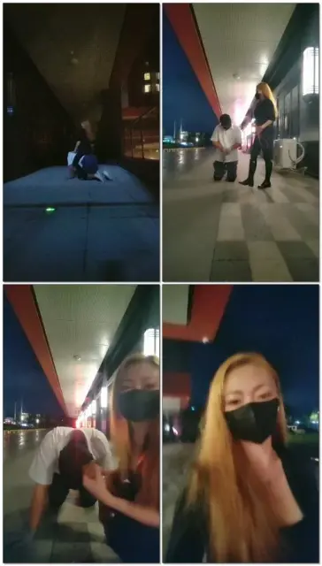 【依依东望】深夜训练马奴