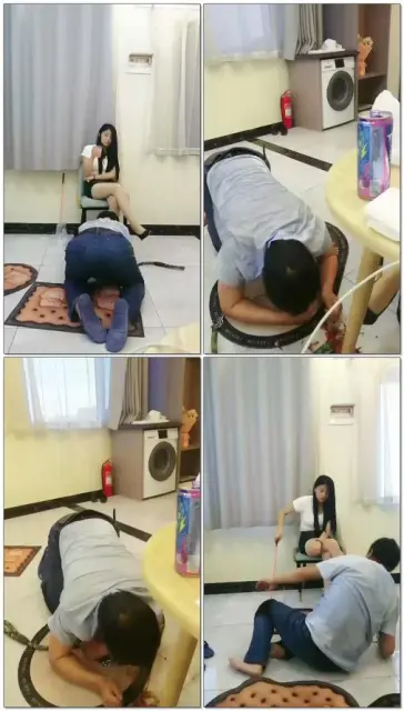 【天韵女皇】室内调狗