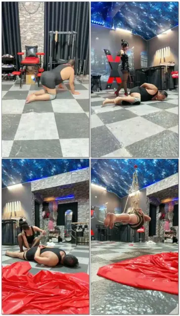 【红焱S】调圈养全能m