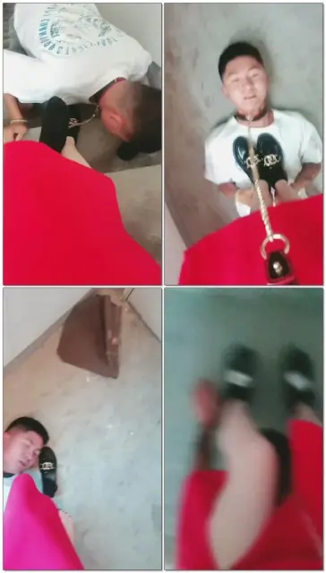 【紫烟s】楼道玩小贱狗