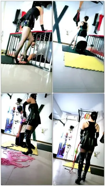 【五十度S】下午直播玩狗