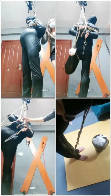 【东营天香百合】吊打