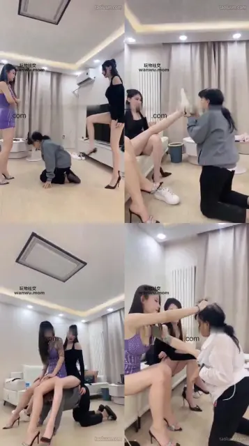 【伊楠】双主暴虐女奴