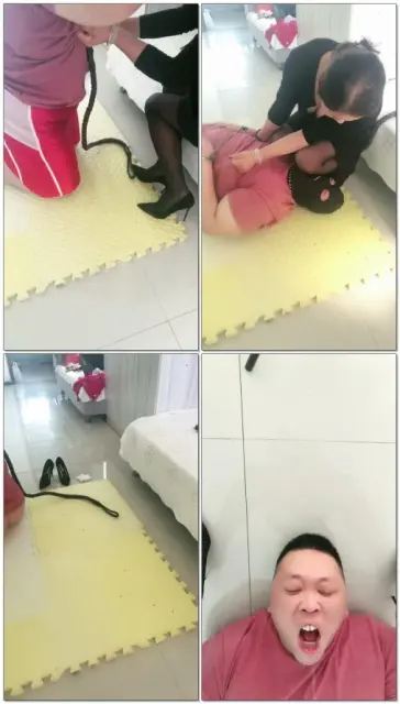 【冰色S】调喝尿吃厕纸狗